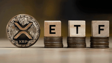 شایعات XRP ETF توسط بلومبرگ