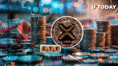 سوئیچ جدید برای صاحبان XRP تاریخ را فاش کرد