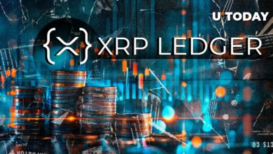 XRPL رشد مهم کاربر را ثبت می کند: آیا برای XRP صعودی است؟
