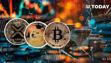 XRP ، Doge و Bitcoin 287 میلیون دلار انحلال سونامی