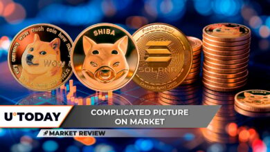 Dogecoin (Doge): 3 سطح کلیدی که باید دنبال شود ، بنیاد قیمت Shiba Inu (Shib) به Solana (سمت چپ) قدرتمندتر از آنچه به نظر می رسد رسیده است