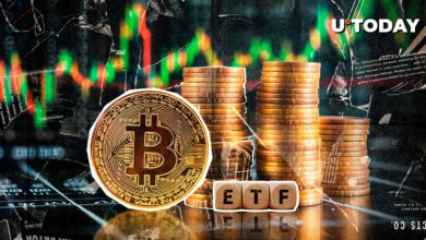 ETF های بیت کوین با وجود حمام خون رمزنگاری ۵۶۷ میلیون دلار سبز می شوند