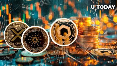XRP ، ADA و Link سر خود را از افسانه NBA تکان دادند
