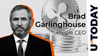 مدیرعامل Ripple عاشق فعالیت عمده موج دار در ماه ژوئن است