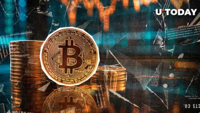 قیمت “Max Pain” Bitcoin (BTC) ظاهر شد