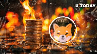 شیب عمیقاً با قرمز می سوزد – چه خبر است؟