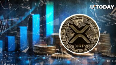 ۸،۹۰۰ ٪ عوارض عدم تعادل انحصاری XRP گاو نر