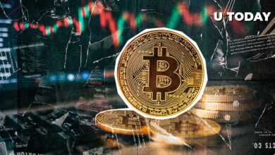 اگرچه آخرین قیمت کاهش یافته است ، ۸۵ ٪ از صاحبان بیت کوین در برف هستند