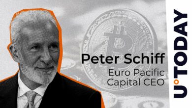 در اینجا بیت کوین (BTC) قتل است: پیتر شیف