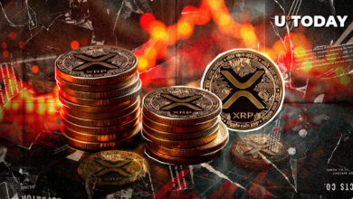 ۸ از معیارهای اصلی XRP پایین آمده است: چه خبر است؟