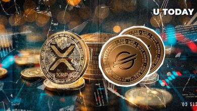 XLM رهبری می شود: Star in Green Run بهتر از XRP است