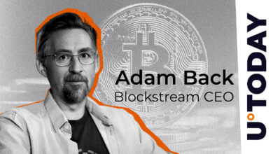 این مرد سکوت پشتی را در سال ۲۰۱۳ Bitcoin Post می شکند: آیا هنوز زود است؟