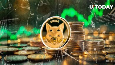 Shiba Inu (Shib) در ۲۴ ساعت عملکرد بهتری نسبت به همه رقبا دارد: جزئیات