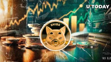 تیم Shiba INU نقطه عطف جدید را به اشتراک می گذارد در حالی که صاحبان Shib از ۱.۵ میلیون نفر فراتر می روند