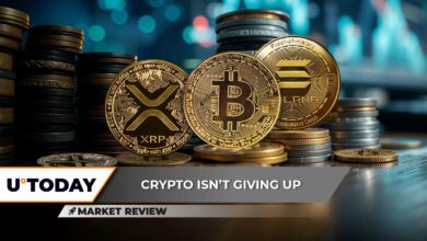 XRP: یک جنگ دیگر ، بیت کوین (BTC) توقف بعدی ۹۴،۰۰۰ دلار ، Solana (سمت چپ) راهپیمایی کوتاه مدت تأیید شده