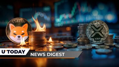 ۲۵.۶۹۶،۹۶۰ Shib فقط در ساعت سوزانده شده است ، قیمت XRP دیگر با تخفیف معامله نمی شود ، Tether Mint Tron 1000.000.000 USDT: Crypto News Digest