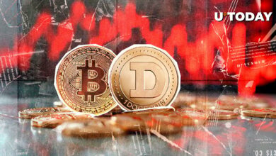 Dogecoin (Doge) در معیارهای اساسی عملکرد بهتری نسبت به بیت کوین دارد زیرا ETF Review Fues Momentum