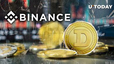 فروش دوشنبه سیاه می تواند ۳۰۰ میلیون Dogecoin (Doge) Edge باشد