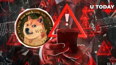 توسعه دهنده Dogecoin هشدار مهمی به جامعه رمزنگاری می دهد. در اینجا دلیل است