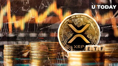 XRP فعالیت خرید غیر طبیعی را در میان فروش ۷۹۵ میلیون دلار بودجه رمزنگاری مشاهده می کند