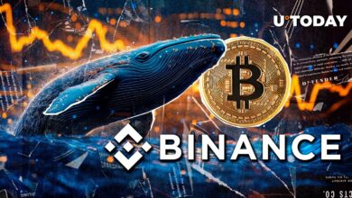 نهنگ بیت کوین خفته در حال خرید BTC عالی در Binance است