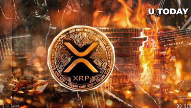 XRP سوختگی ۱۰۰ ٪ افزایش می یابد: این باعث شده است