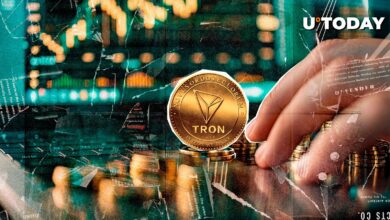 Tron (TRX) بیت کوین و اتریوم را در پویایی قیمت ۲۴ ساعته ترک می کند