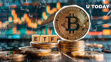 ۹۱۲.۷ میلیون دلار: Bitcoin ETF ، با کسب بزرگترین ورودی های روزانه از BTC Ath در ژانویه