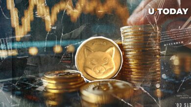 ۵۳۱ تریلیون غرفه برش Shib: حرکت بعدی Shiba Inu چیست