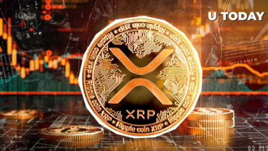 ۶۵۰،۰۰۰،۰۰۰ XRP در ۲۴ ساعت: بازده فوق العاده ای وجود دارد