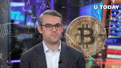Google به دنبال شیرجه بیت کوین است. مدیرعامل Bitwic آغازگر نقره ای را می بیند