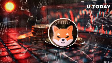 ۱۵۰.۰۰۰.۰۰۰،۰۰۰ Shiba Inu (Shib): چه اتفاقی افتاد؟