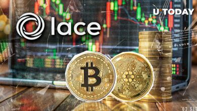Cardano با ادغام کیف پول توری از بیت کوین استقبال می کند